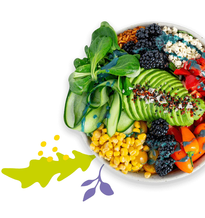 Avocado Bowl Picture